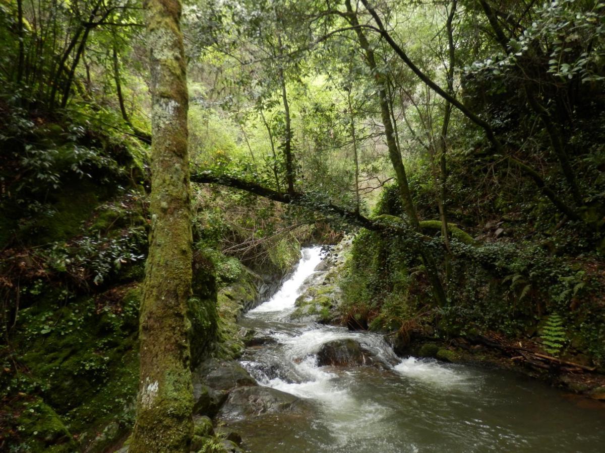 O Homem Verde Penela Exteriér fotografie