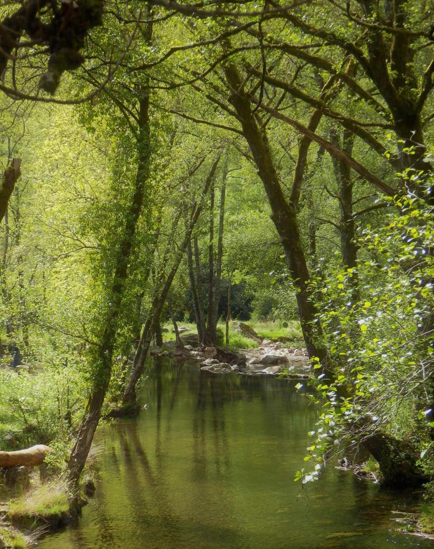 O Homem Verde Penela Exteriér fotografie